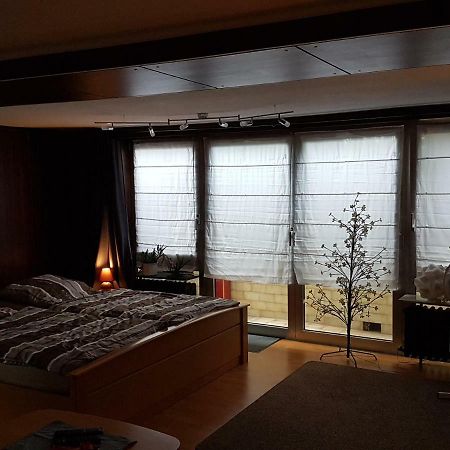 Koln-Bonn Appartment Wesseling Exteriör bild